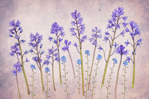 Untitled Black Ornate Wood Framed Art Print with Double Matting by Pandya, Hardik