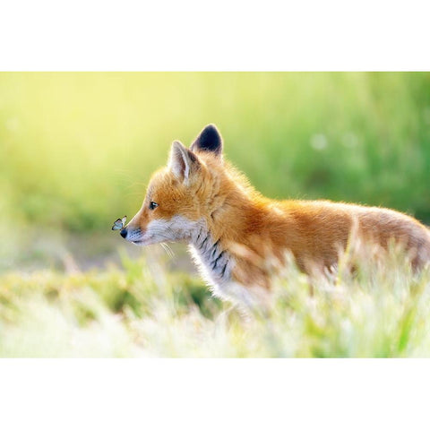 ccc Black Modern Wood Framed Art Print with Double Matting by Fengying Long