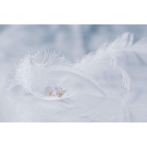 Arioso of spring White Modern Wood Framed Art Print by Kopcev, Igor