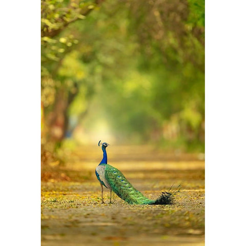Wild is my favourite Color Gold Ornate Wood Framed Art Print with Double Matting by Deep, Ujjawal