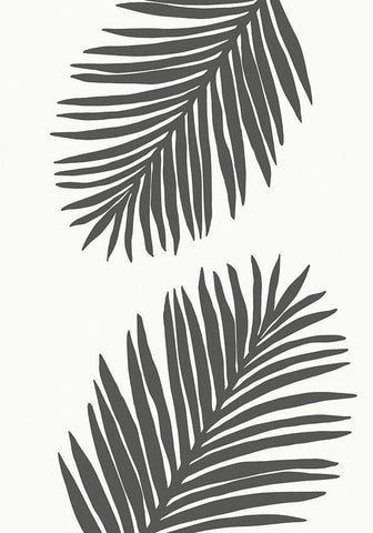 PALM LEAF 12 GRAPHITE GRAY Black Ornate Wood Framed Art Print with Double Matting by 1x Studio