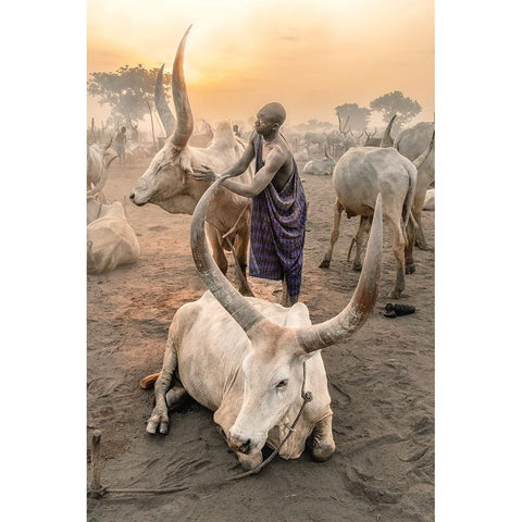 A Symbiotic Bond White Modern Wood Framed Art Print by Cole, Trevor