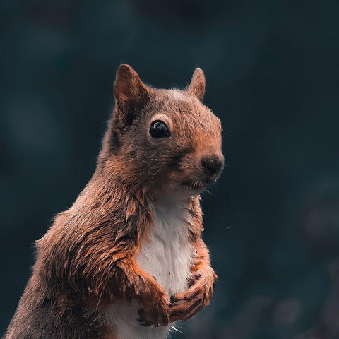 Think White Modern Wood Framed Art Print by J Ter, Gert