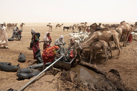 So Much ActIVity Around The Well At Borkou Desert-Tchad White Modern Wood Framed Art Print with Double Matting by Molina, Elena