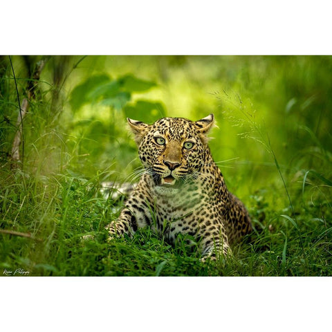 Panic Moment Black Modern Wood Framed Art Print with Double Matting by Roshkumar