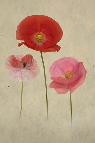 Friends Black Ornate Wood Framed Art Print with Double Matting by Urbanski, Richard