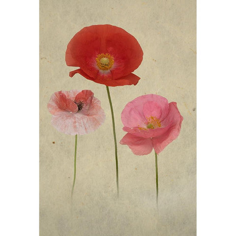 Friends Gold Ornate Wood Framed Art Print with Double Matting by Urbanski, Richard