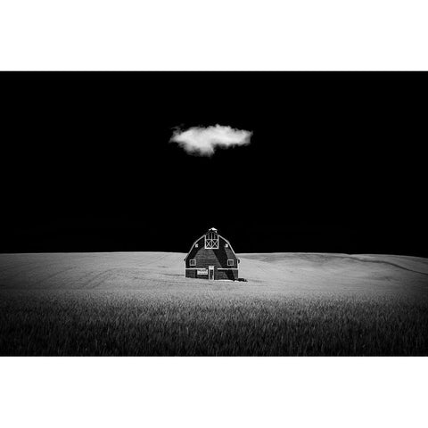 Watcher In The Rye White Modern Wood Framed Art Print by Xu, Tony