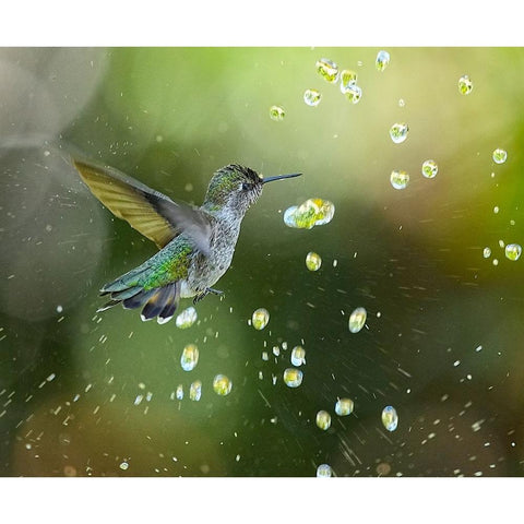 A Shower Of Diamonds Black Modern Wood Framed Art Print with Double Matting by Huang, Xiaojian