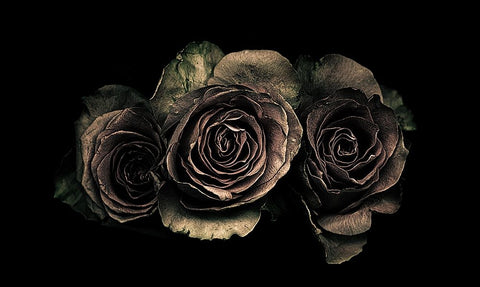 Roses Black Ornate Wood Framed Art Print with Double Matting by Julie, Angel