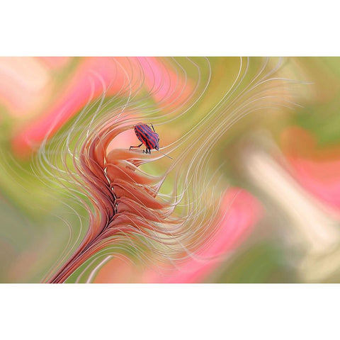 Color Storm... Black Modern Wood Framed Art Print by Dufour, Thierry
