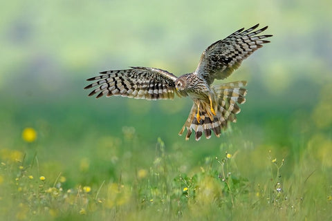 We Will Meet White Modern Wood Framed Art Print with Double Matting by Rudaeff, Pablo