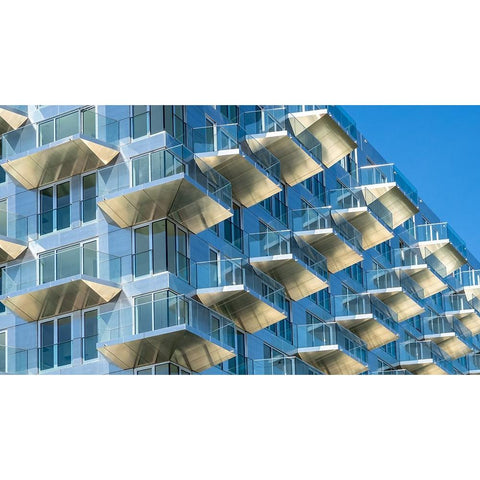 Free View Black Modern Wood Framed Art Print by Koer, Jaap