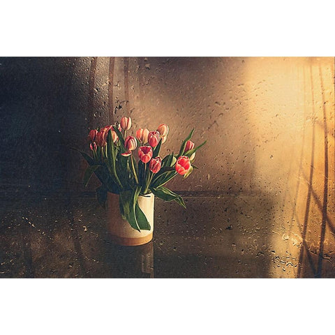 Tulips In The Room White Modern Wood Framed Art Print by Ignatova, Desislava