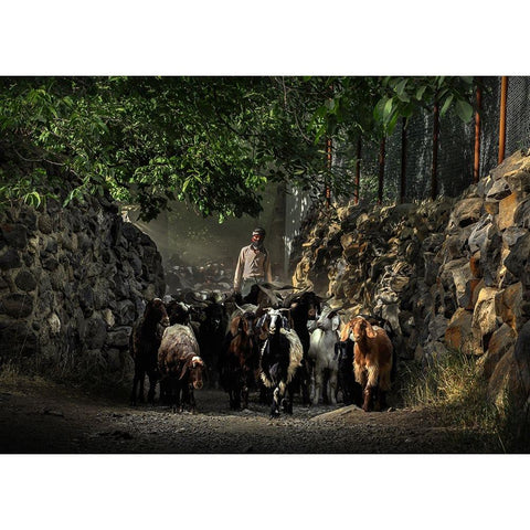 Nomads Black Modern Wood Framed Art Print with Double Matting by Bahmani, Mitra