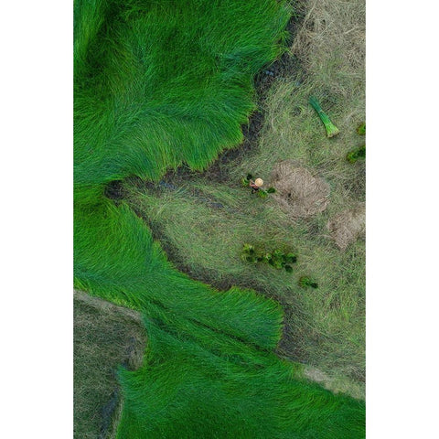 Harvesting Strabismus Black Modern Wood Framed Art Print by Trung Dung, Ngo