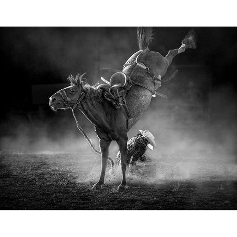 WhoS Win White Modern Wood Framed Art Print by Ma, Frank