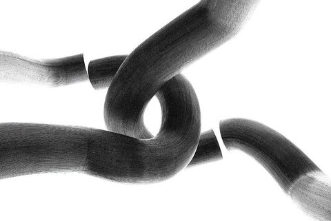 Interlocked Black Ornate Wood Framed Art Print with Double Matting by Morais, Stephan