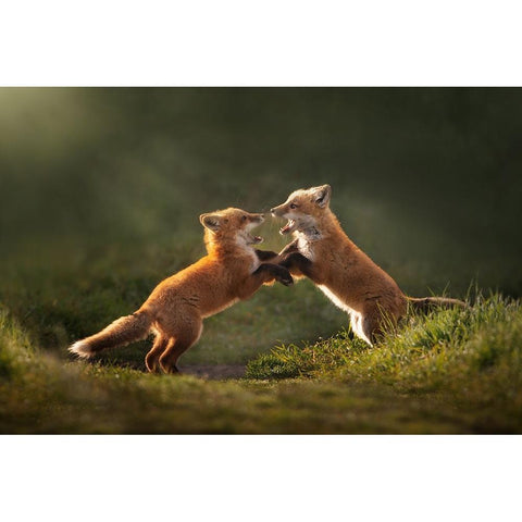 Playful Black Modern Wood Framed Art Print with Double Matting by Li, Rob