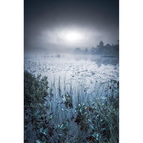 Scandinavian Morning Black Modern Wood Framed Art Print with Double Matting by Pettersson, Benny