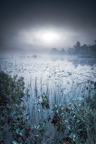 Scandinavian Morning Black Ornate Wood Framed Art Print with Double Matting by Pettersson, Benny