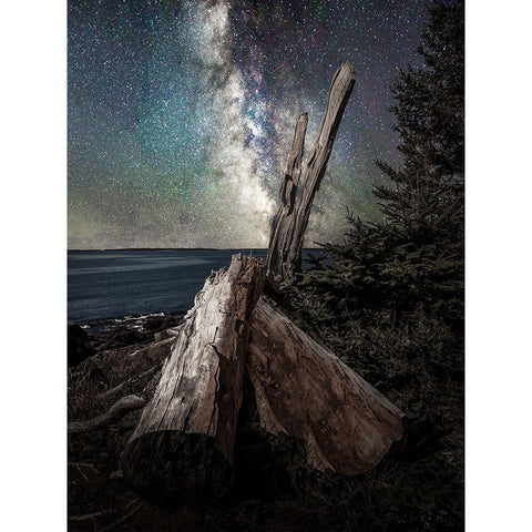 Milky Way Coast White Modern Wood Framed Art Print by Esposito, Ed