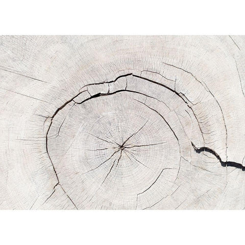 Texture 05 White Modern Wood Framed Art Print by 1x Studio III