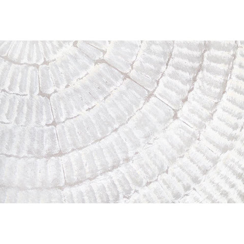 Texture 07 White Modern Wood Framed Art Print by 1x Studio III