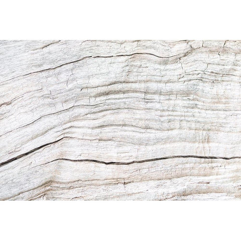 Texture 08 Black Modern Wood Framed Art Print by 1x Studio III