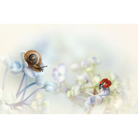 Snail And Ladybird On Hydrangea Gold Ornate Wood Framed Art Print with Double Matting by Van Deelen, Ellen