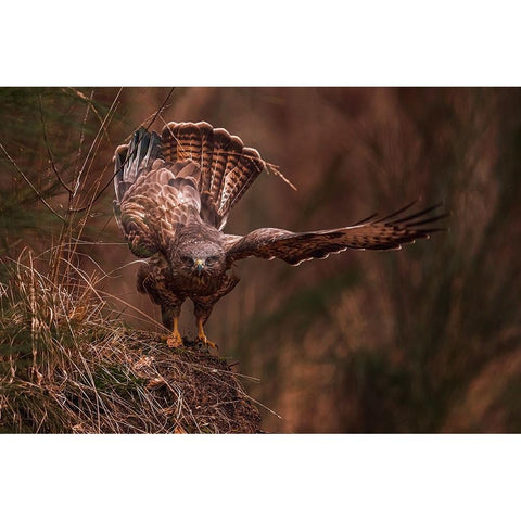 Going Away Black Modern Wood Framed Art Print by J Ter, Gert