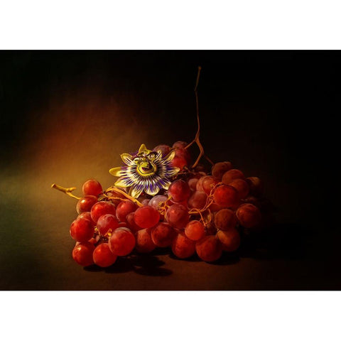 Red Grapes And Passion Flower Gold Ornate Wood Framed Art Print with Double Matting by Shumilova, Ludmila