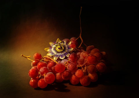 Red Grapes And Passion Flower White Modern Wood Framed Art Print with Double Matting by Shumilova, Ludmila