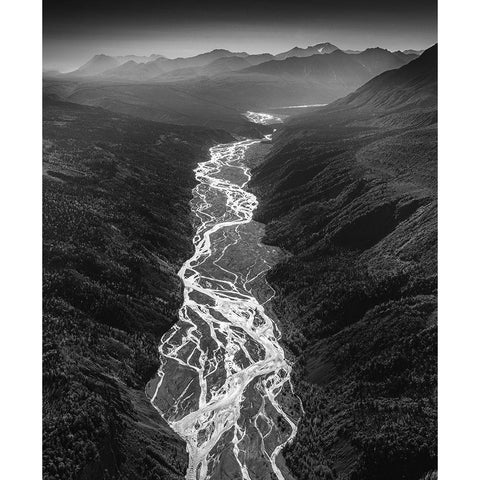 Untitled Black Modern Wood Framed Art Print with Double Matting by Tao, Liwen