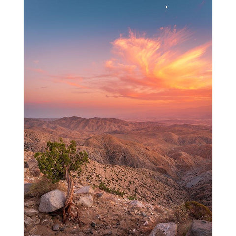Desert Sunset Black Modern Wood Framed Art Print by Iqbal, Syed