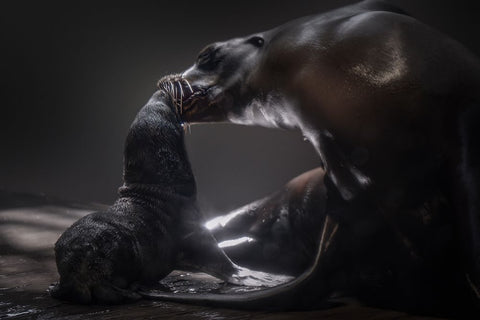 Mother White Modern Wood Framed Art Print with Double Matting by Jealousy