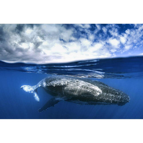 Between two worlds Gold Ornate Wood Framed Art Print with Double Matting by Peneau, Cedric