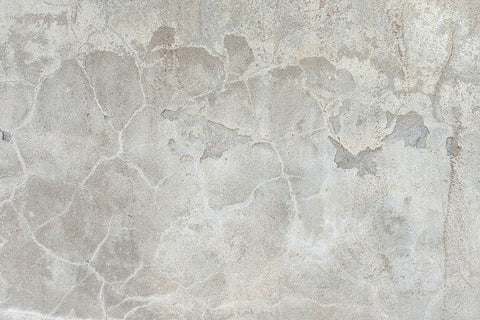 Texture 42 Black Ornate Wood Framed Art Print with Double Matting by 1x Studio III