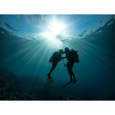 Trust Me Black Modern Wood Framed Art Print by Meirovich, Ido