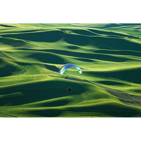 Flying Black Modern Wood Framed Art Print by Xu, Tony