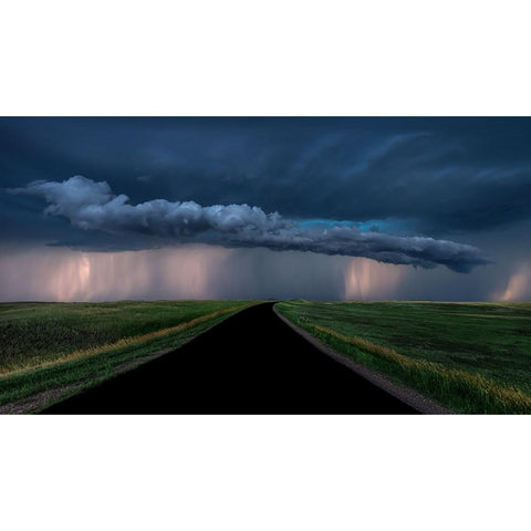 Into The Storm Gold Ornate Wood Framed Art Print with Double Matting by Zuo, Jun