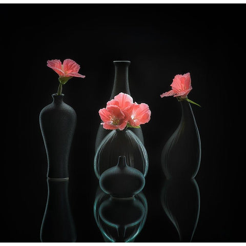 Still Life 45 Black Modern Wood Framed Art Print with Double Matting by Sheng, Alice