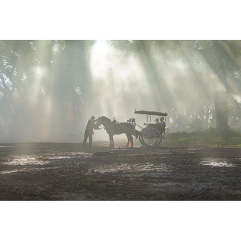 Raw Of Light Gold Ornate Wood Framed Art Print with Double Matting by Achmad, Indra