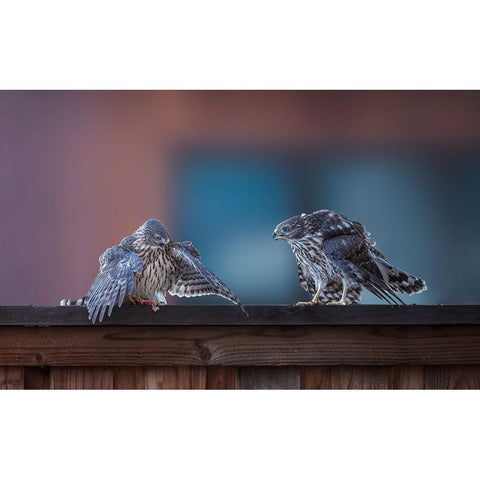 Dinner Time Gold Ornate Wood Framed Art Print with Double Matting by Zhang, Ling