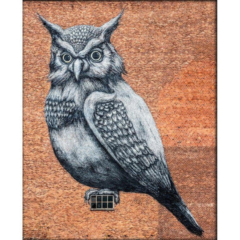 Tag Owl Hasselt Black Modern Wood Framed Art Print with Double Matting by Philippe, Laruelle