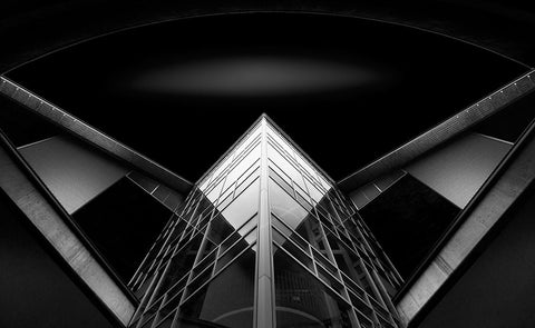 Chem A Biochem Building Black Ornate Wood Framed Art Print with Double Matting by D. Tang, Lisa