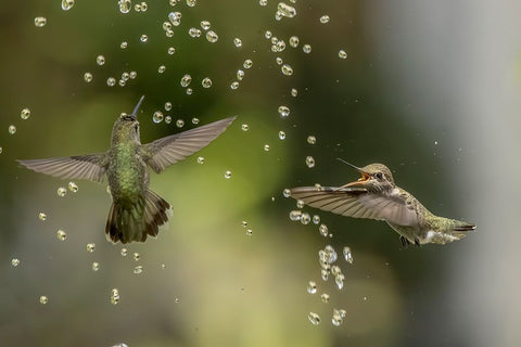 Summer Fun White Modern Wood Framed Art Print with Double Matting by Tseng, Judy