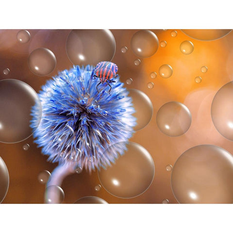 Blue Exoplanet... White Modern Wood Framed Art Print by Dufour, Thierry