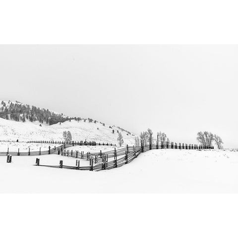 After Snow Black Modern Wood Framed Art Print by Xie, Louise