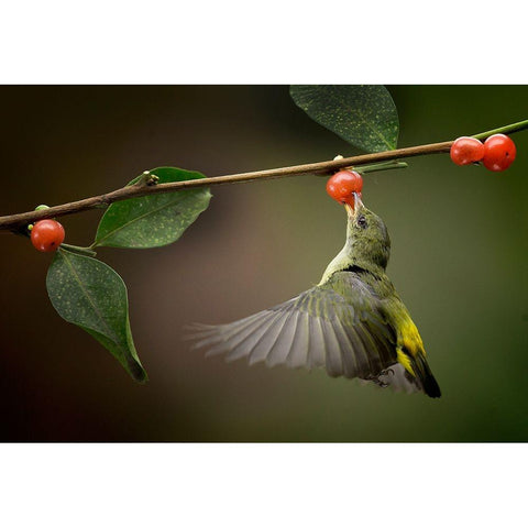 Sweet Gold Ornate Wood Framed Art Print with Double Matting by Muliani Hartojo, Angela